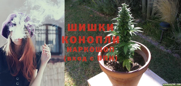 спайс Карпинск