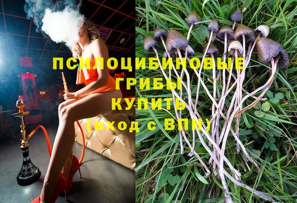 герыч Козельск