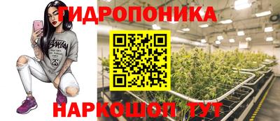 2c-b Гатчина