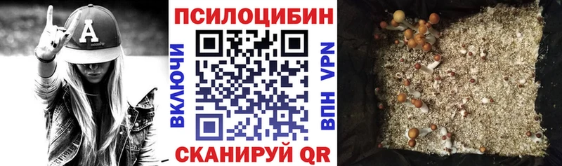 Галлюциногенные грибы ЛСД  OMG   Кировск  наркотики 