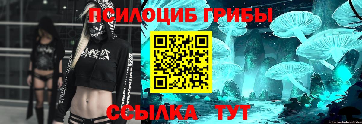 Кировск  Галлюциногенные грибы Psilocybe  Вход с VPN 